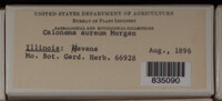 Image Associated With the Occurence